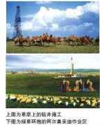 /oilstory/1895.html
