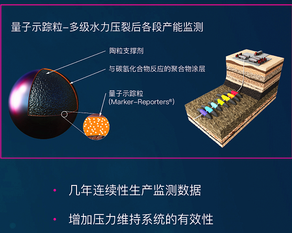 /xinpinss/7017.html